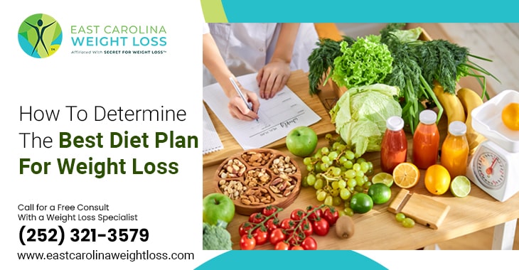 How To Determine The Best Diet Plan For Weight Loss