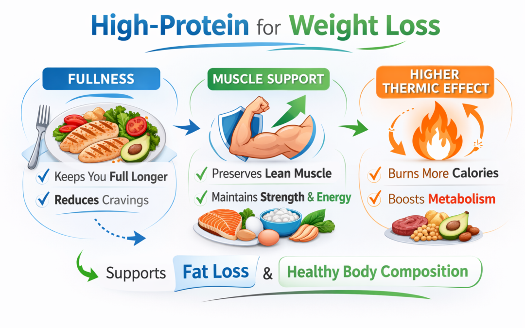 Infographic showing how a high-protein diet supports weight loss by improving fullness, preserving muscle, and boosting the thermic effect of food., high protein diet for weight loss