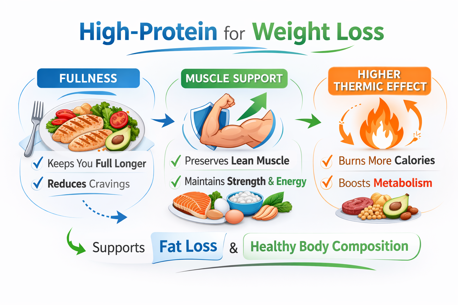 Infographic showing how a high-protein diet supports weight loss by improving fullness, preserving muscle, and boosting the thermic effect of food., high protein diet for weight loss